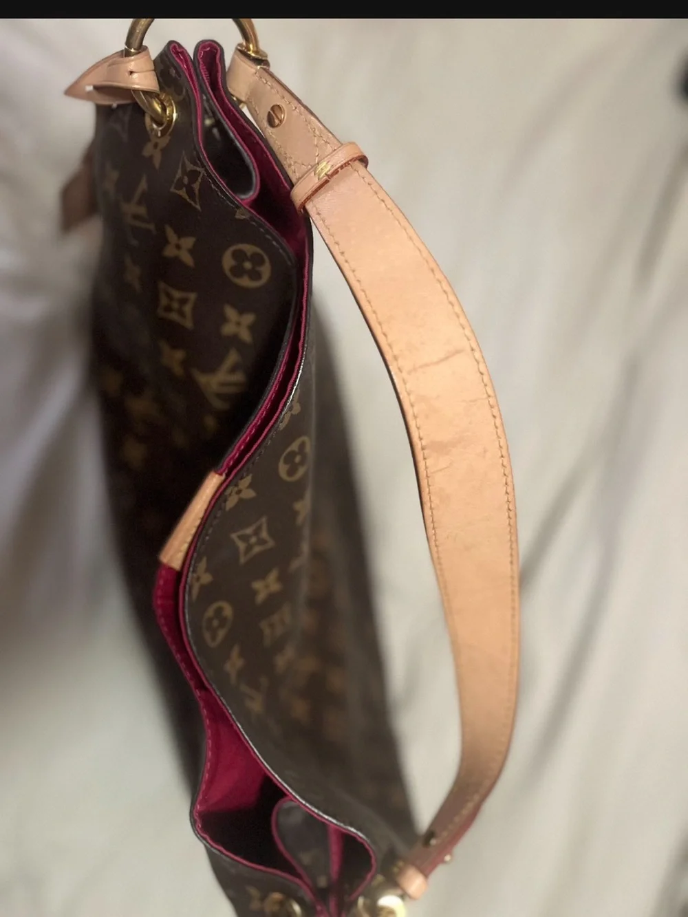 Louis Vuitton Monogram Canvas Shoulder Hobo in Brown and Vachetta